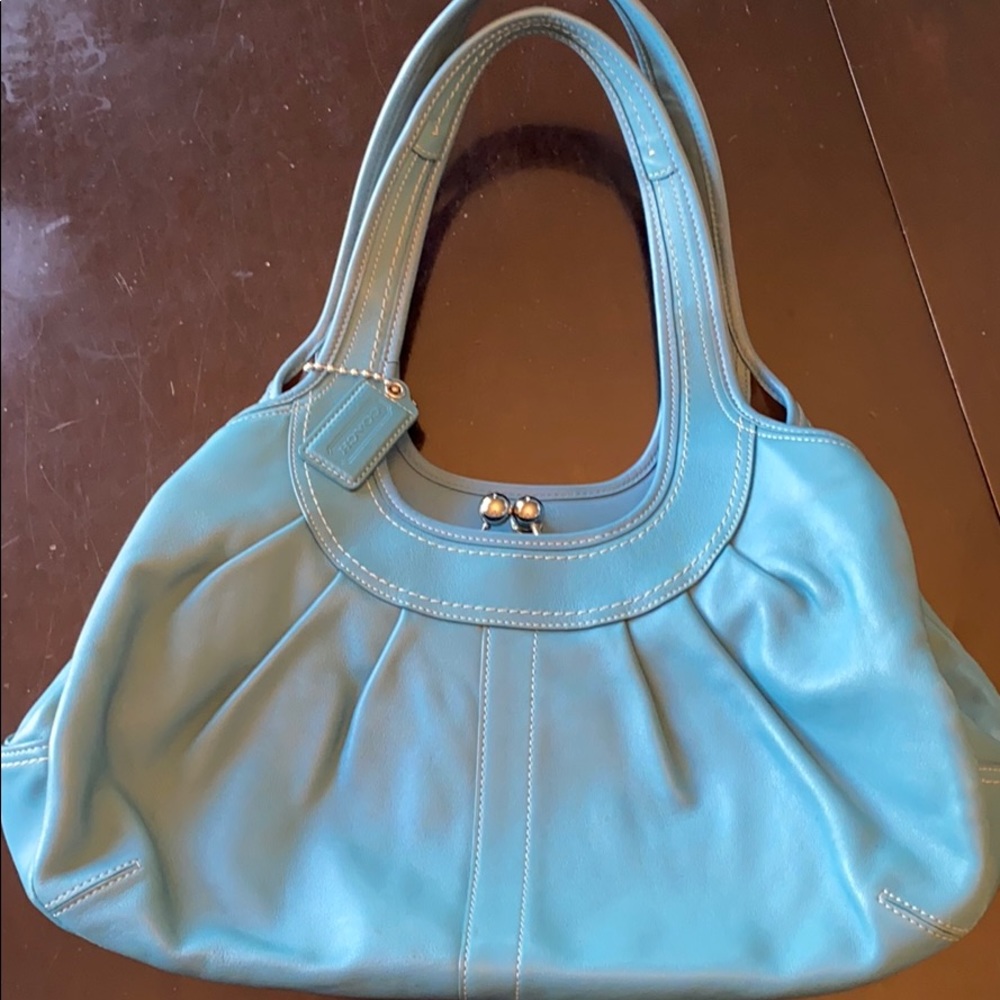 Coach Ergo Pleated Leather Hand Bag